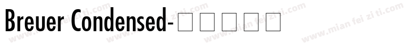 Breuer Condensed字体转换